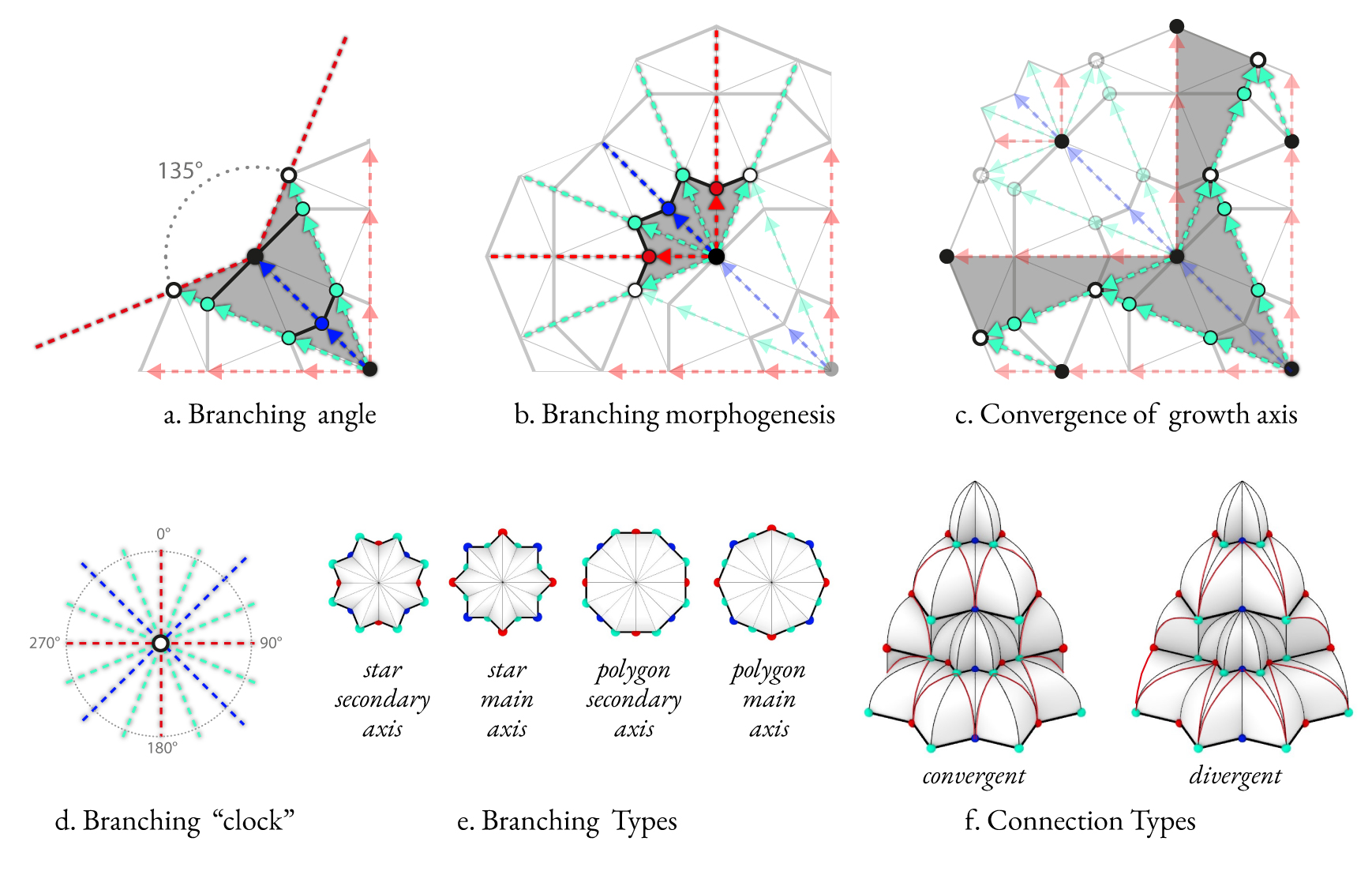 Diagrams of branching morphology axes and connection types