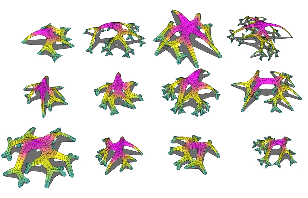 Morphogenetic Vaults studies