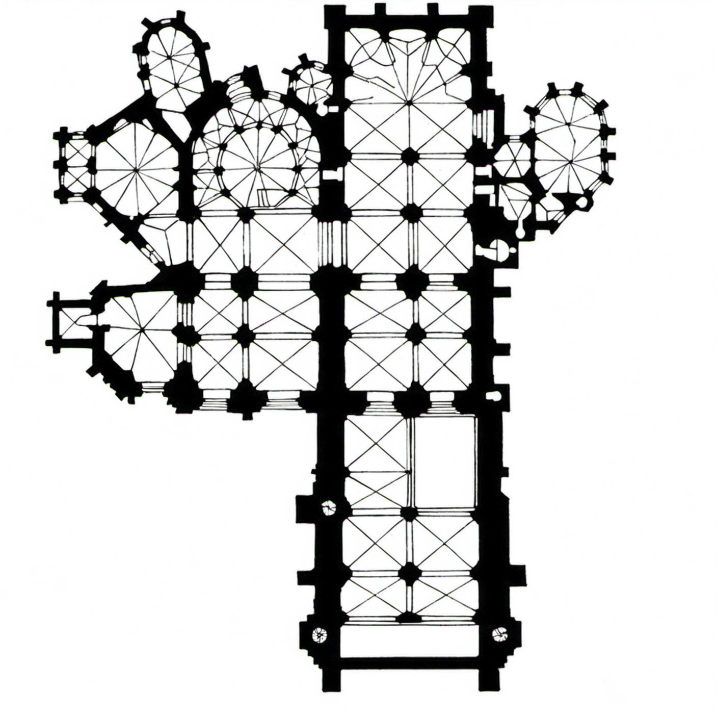 Animated Gothic Diffusion morphology study three