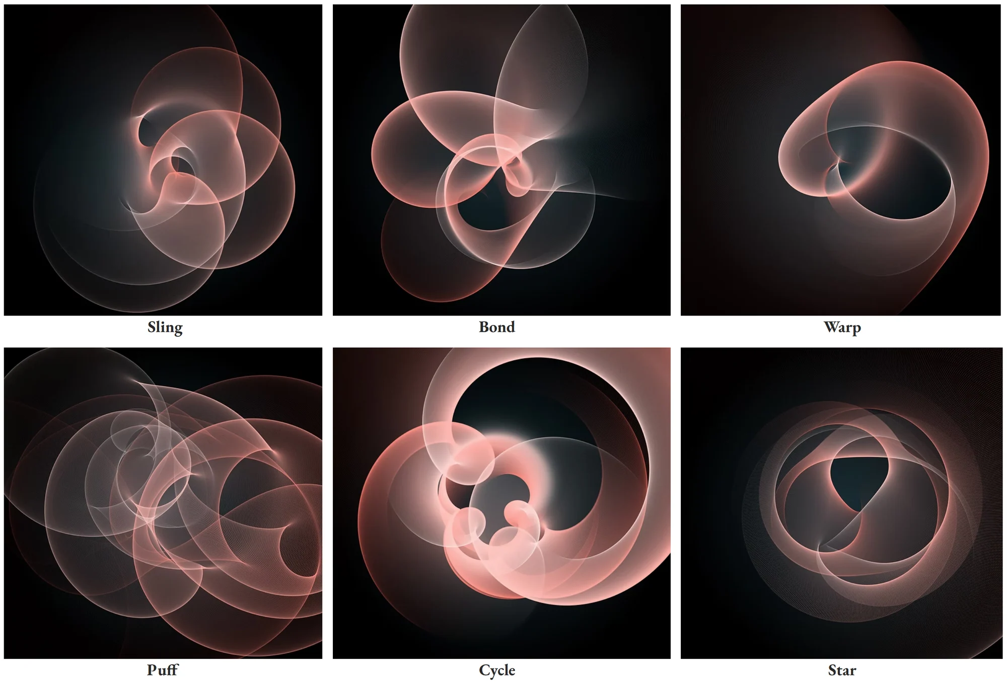 Comparison of the six Spiromorphs morphology types
