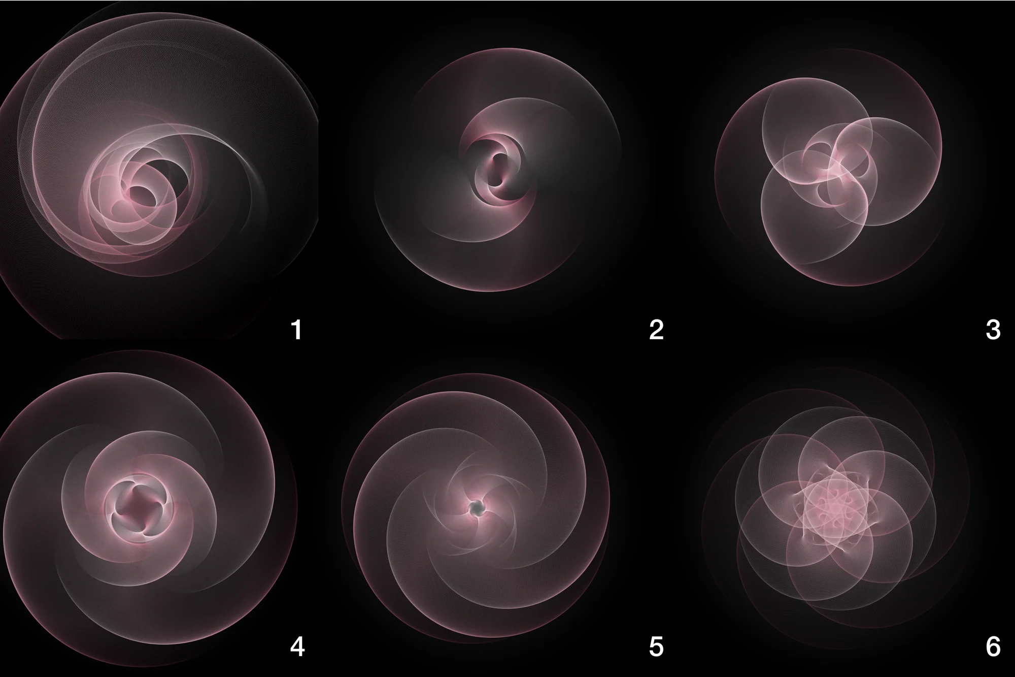 Six Spiromorphs symmetry-fold conditions
